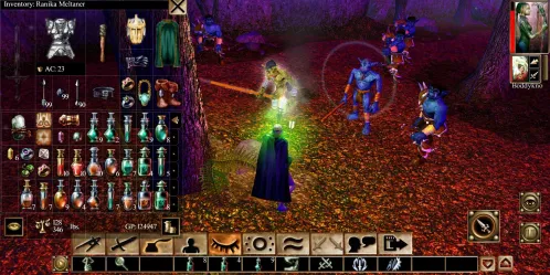 Neverwinter Nights: Enhanced Edition - Скриншот 2