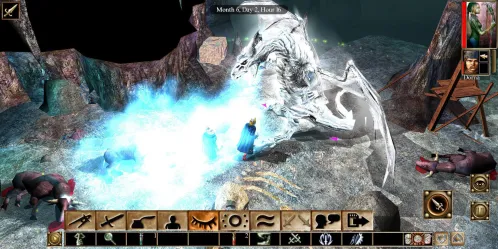 Neverwinter Nights: Enhanced Edition - Скриншот 5