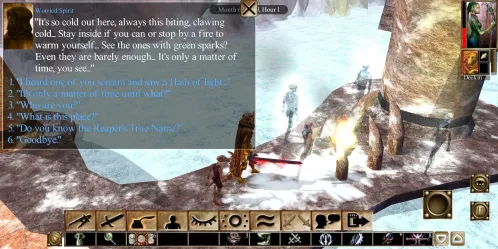 Neverwinter Nights: Enhanced Edition - Скриншот 4