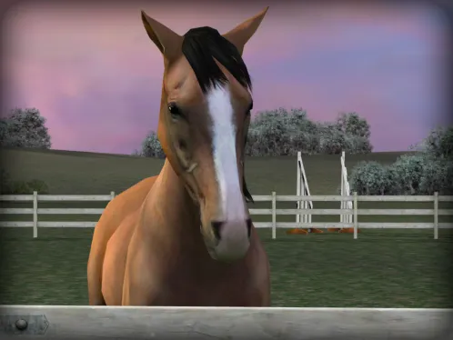My Horse - Скриншот 1