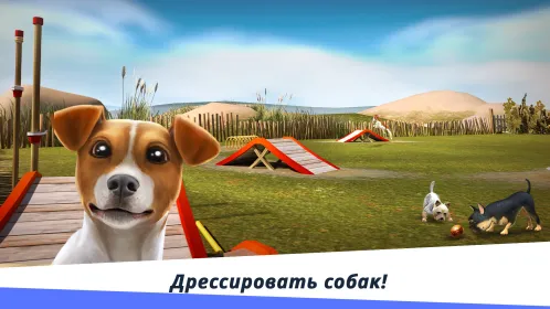 DogHotel – играйте с собаками - Скриншот 5