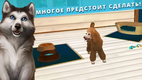 Pet Hotel – Забота о животных - Скриншот 4