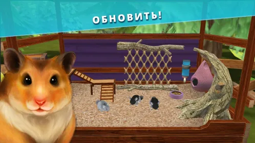 Pet Hotel – Забота о животных - Скриншот 3
