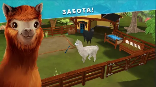 Pet Hotel – Забота о животных - Скриншот 5