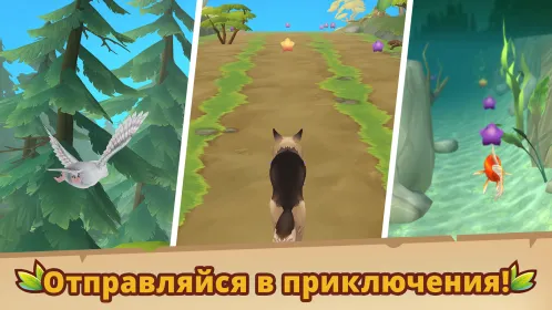 Petventures – игра о животных - Скриншот 2