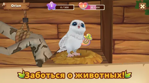 Petventures – игра о животных - Скриншот 1