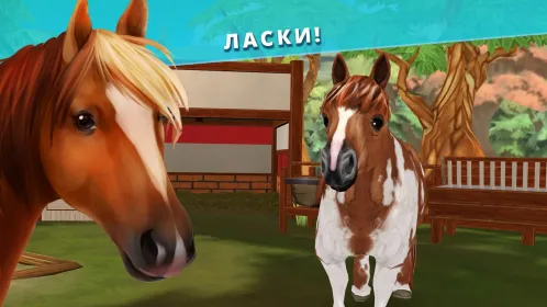 Pet Hotel – Забота о животных - Скриншот 1