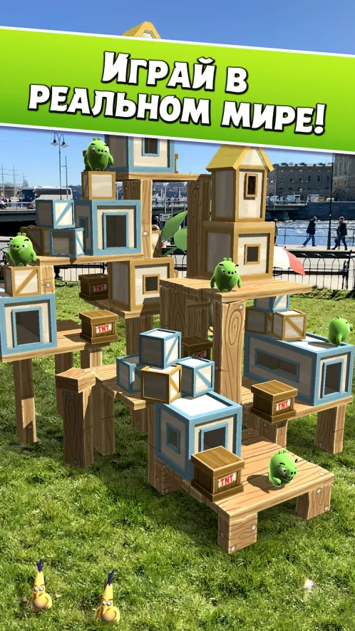 Angry Birds AR: Isle of Pigs - Скриншот 2