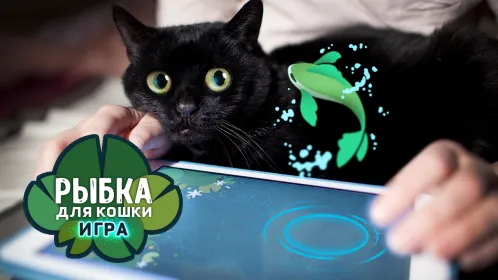 Рыбка для кошки игра - Скриншот 5